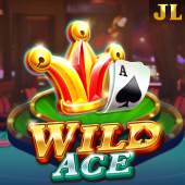 Wild Ace wowowin slot